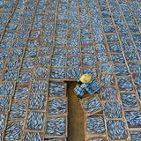 Kategorie: Travel  "Drying fish" , so lautet der Titel dieses Bildes von Khanh Phan aus Vietnam. Es zeigt eine Frau in einem Meer von Tabletts mit zu trockendem Fisch, wobei das Muster ihrer Bluse zu den Hunderten von Schalen passt.