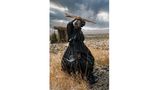 Kategorie: Creative  Tamary Kudita aus Simbabwe hat diese Frau in viktoriansicher Kleidung mit traditionellen Shona-Kochutensilien fotografiert.
