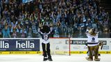 Die Hamburg Freezers entstammen den ursprünglich in der Münchner Olympiahalle angesiedelten München Barons, die aus finanziellen Gründen den Standort wechselten. Das Foto entstand bei einem ihrer der Spiele gegen die Thomas Sabo Ice Tigers.