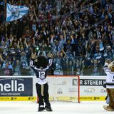 Die Hamburg Freezers entstammen den ursprünglich in der Münchner Olympiahalle angesiedelten München Barons, die aus finanziellen Gründen den Standort wechselten. Das Foto entstand bei einem ihrer der Spiele gegen die Thomas Sabo Ice Tigers.