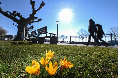 Coronavirus Frühling: Spaziergang bei gutem Wetter