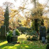 Wer bei einem Friedhof an eine trostlose Toteninsel denkt, wird bei dem Ohlsdorfer Friedhof überrascht sein. Ein Spaziergang durch den größten Parkfriedhof Europas kann zu einer Zeitreise in der grünen Natur werden.