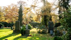 Wer bei einem Friedhof an eine trostlose Toteninsel denkt, wird bei dem Ohlsdorfer Friedhof überrascht sein. Ein Spaziergang durch den größten Parkfriedhof Europas kann zu einer Zeitreise in der grünen Natur werden.