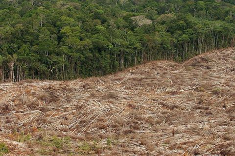 Ein Beispiel für natürlichen Ressourcenverbrauch ist die Abholzung des Regenwalds im Amazonasgebiet