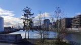 Bei Tageslicht macht das Oneplus 9 Pro starke, sehr detailreiche Bilder mit toller Farbwiedergabe