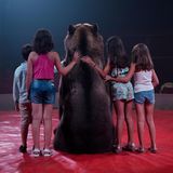 Ein Braunbär namens Tima posiert für ein Foto mit Kindern im Zirkus