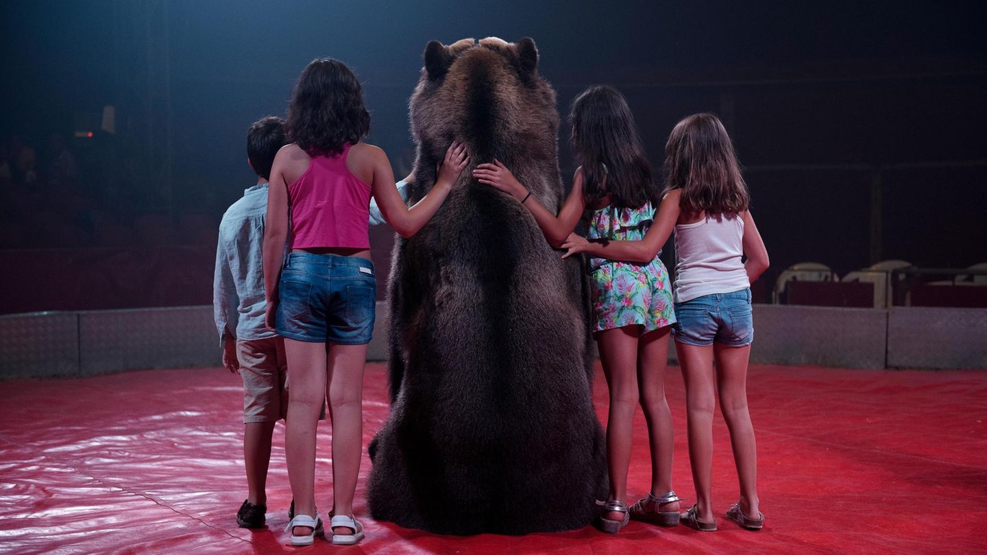 Ein Braunbär namens Tima posiert für ein Foto mit Kindern im Zirkus