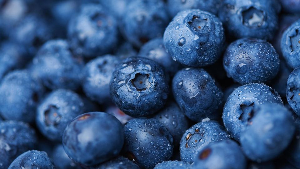 Blaubeeren Blaubeeren