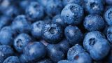 Blaubeeren