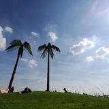 Park Fiction in St. Pauli: Hier gibt es einen grandiosen Blick auf die Elbe und auf die vorbeiziehenden Containerschiffen, jede Menge Grünflächen und ein Basketballplatz - und künstliche Palmen.