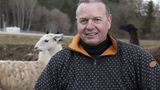 Alexander hat mittlerweile drei Herden
