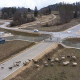 Wenn die Schafherde über das Gelände zieht, ruht zur Not auch der Testbetrieb