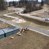 Schafe im Mercedes-Testzentrum in Immerdingen