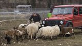 Alexander Zonta ist im Hauptberuf Landschaftsbauer und Gärtner