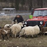 Alexander Zonta ist im Hauptberuf Landschaftsbauer und Gärtner
