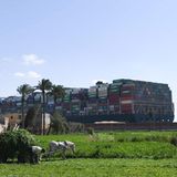 Diesen Bauer interessiert das Drama auf dem Kanal im Hintergrund wenig. Er muss die Ernte einfahren.