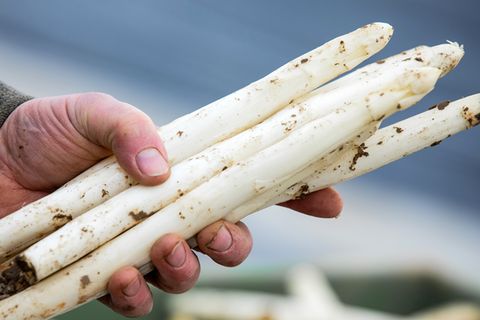 Hohe Spargel-Preise im Frühjahr 2021 (Symbolbild)