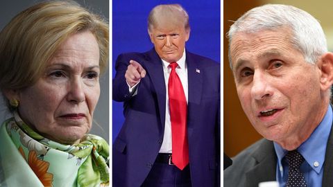 Die US-Gesundheitsexperten Deborah Birx (l.) und Anthony Fauci (r.) und der frühere US-Präsident Donald Trump