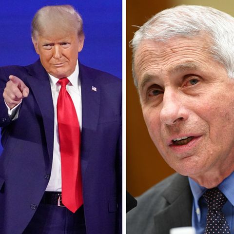 Die US-Gesundheitsexperten Deborah Birx (l.) und Anthony Fauci (r.) und der frühere US-Präsident Donald Trump