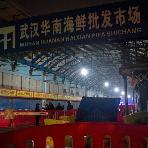 Der Huanan Seafood Wholesale Market in Wuhan