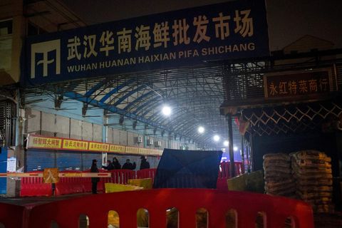 Der Huanan Seafood Wholesale Market in Wuhan