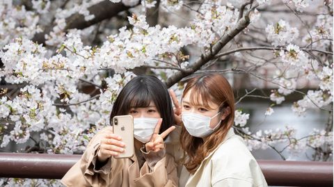 Zwei Frauen fotografieren sich vor einem blühenden Kirschbaum