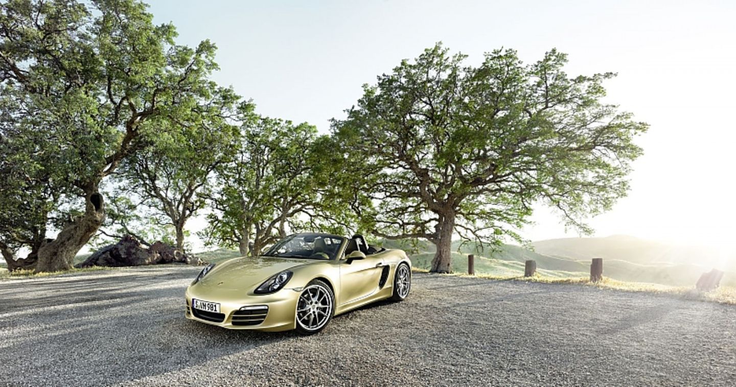 Der Porsche Boxster 981 kam 2012 auf den Markt