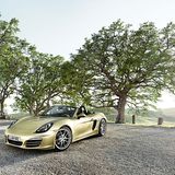 Der Porsche Boxster 981 kam 2012 auf den Markt