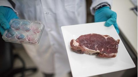 Im August 2018 hat das israelische Start-up Aleph Farms eine Version ihres Laborfleisches vorgestellt.