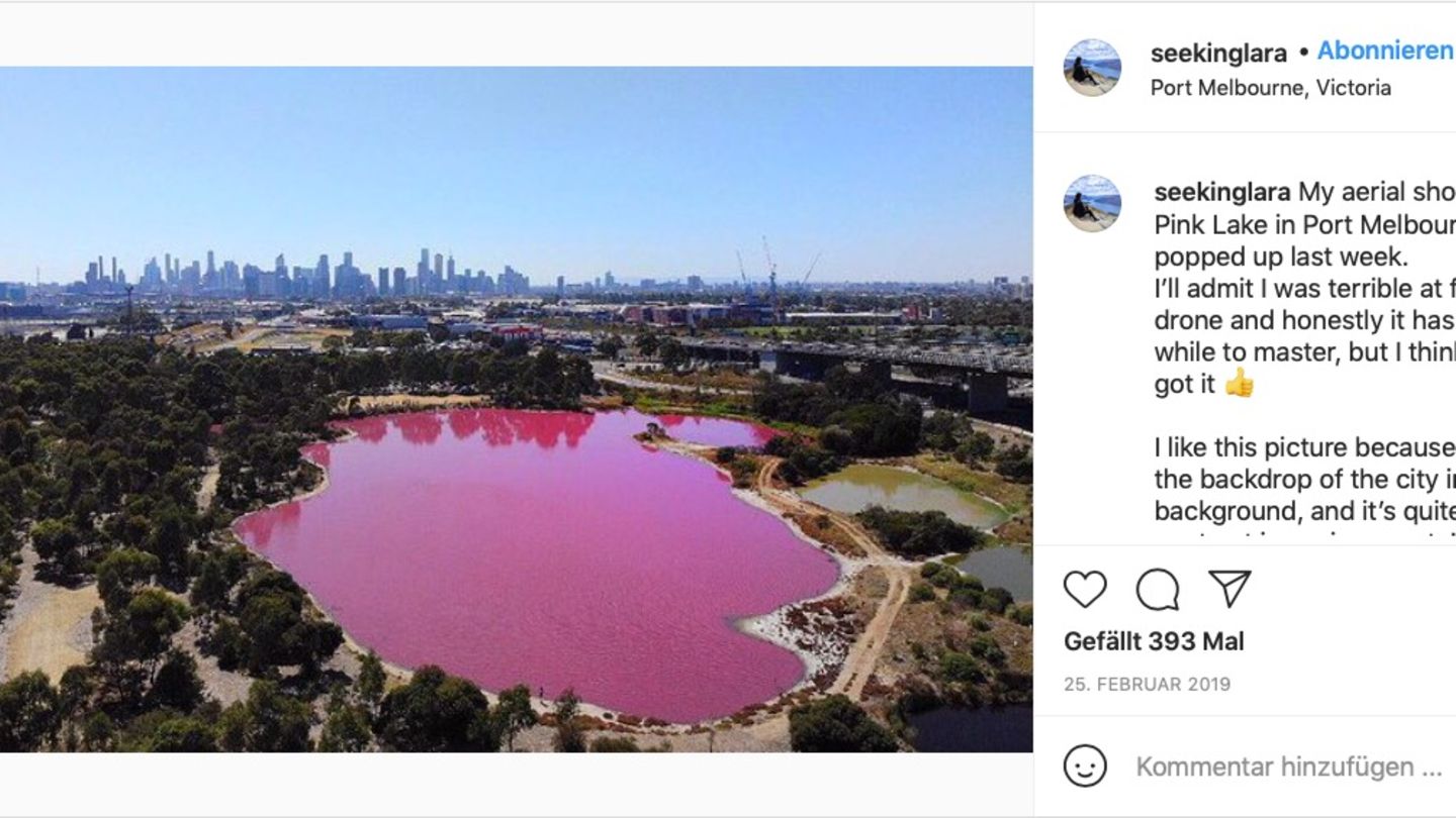 Ein pinker See in einem Park