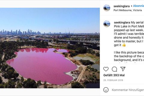 Ein pinker See in einem Park
