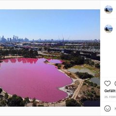 Ein pinker See in einem Park