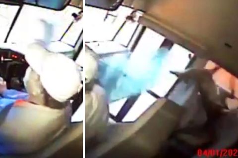 Ein Reh kracht durch die Windschutzscheibe in einen Schulbus