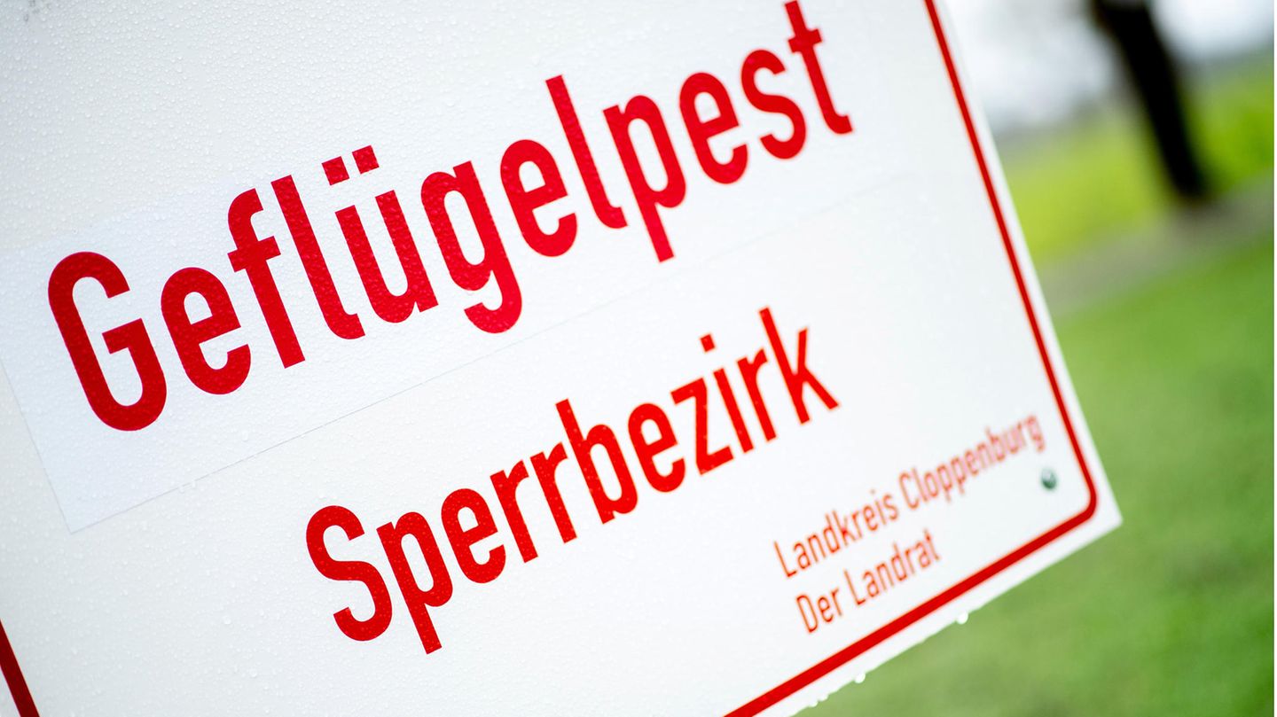 Ein weißes Schild mit roter Schrift weist auf einen Sperrbezirk wegen der Geflügelpest hin