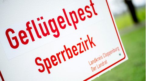 Ein weißes Schild mit roter Schrift weist auf einen Sperrbezirk wegen der Geflügelpest hin