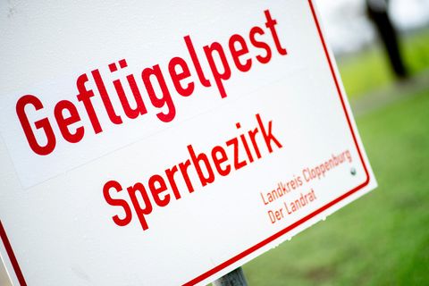 Ein weißes Schild mit roter Schrift weist auf einen Sperrbezirk wegen der Geflügelpest hin