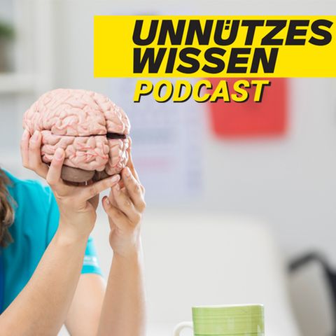Unnützes Wissen: Graue Zellen und Brain-Freeze – was steckt hinter diesen Redewendungen?