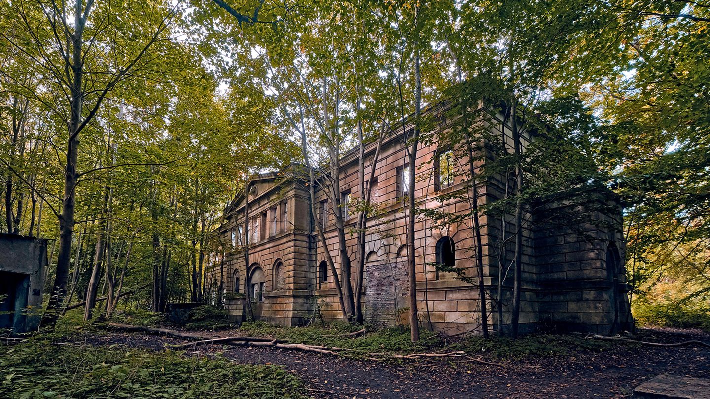 Ein Schüler von Friedrich Schinkel entwarf Ende des 19. Jahrhunderts das Schloss Dwasieden bei Sassnitz auf der Insel Rügen. Der Prachtbau wurde bereits nach dem Zweiten Weltkrieg von der Sowjetarmee gesprengt, übrig blieb eine Ruine. Im Bild die Reste des Marstalls.