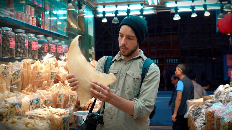 Ali Tabrizi inspiziert Haifischflossen auf einem asiatischen Fischmarkt Ali Tabrizi inspiziert Haifischflossen auf einem asiatischen Fischmarkt
