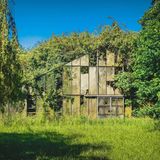 Hier holt sich die Natur alles zurück: Ein überwuchertes Gewächshaus in Kirchwerder bei Hamburg.