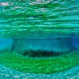 Das Netz schließt sich um den Schwarm