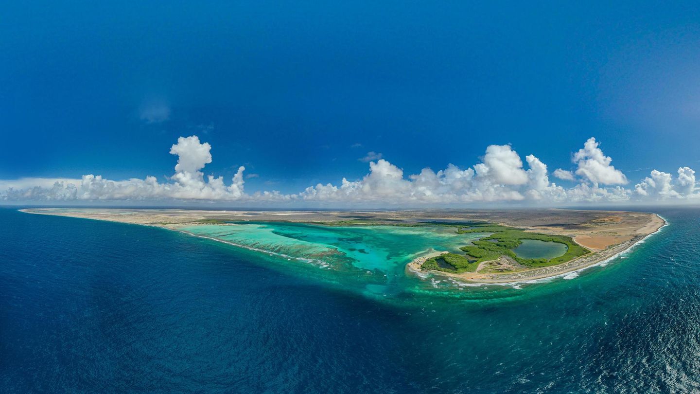 Tauchtraum Bonaire