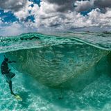 Wenn das Netz um den Schwarm geschlossen ist  tauchen die ­Fischer hinein und befestigen weitere Netze