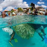 Zum Fangen braucht es starke Arme und vor allem kräftige Lungen