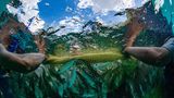 Im Wasser ziehen die Fischer das Netz immer weiter zusammen
