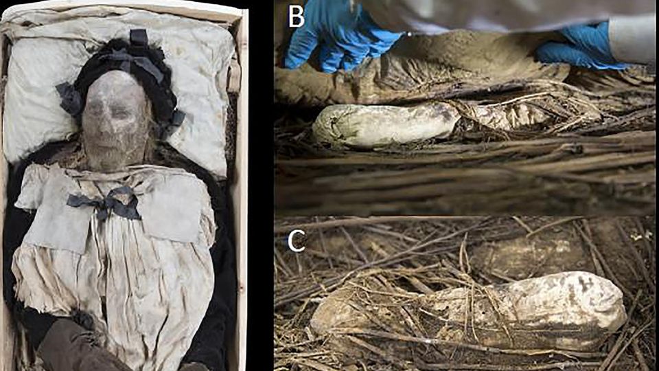 Sehen Sie im Video: Fötus in Sarg von berühmten Bischof entdeckt – wie kam das tote Baby dort hinein? Sehen Sie im Video: Fötus in Sarg von berühmten Bischof entdeckt – wie kam das tote Baby dort hinein?