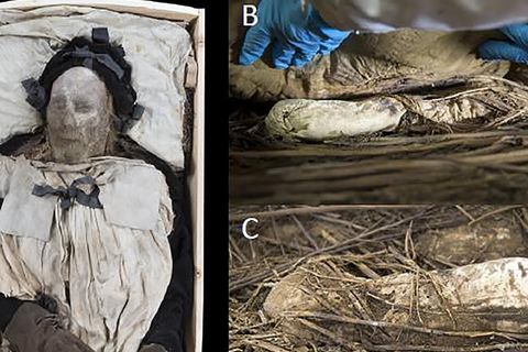 Sehen Sie im Video: Fötus in Sarg von berühmten Bischof entdeckt – wie kam das tote Baby dort hinein?