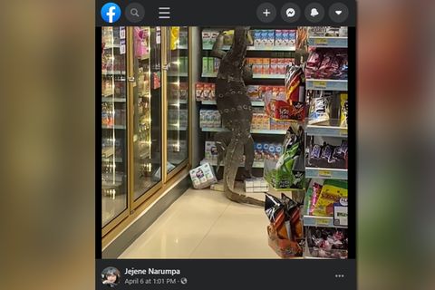 Waran in Thailand im Supermarkt