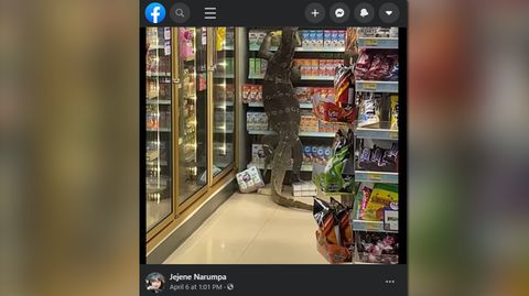 Waran in Thailand im Supermarkt