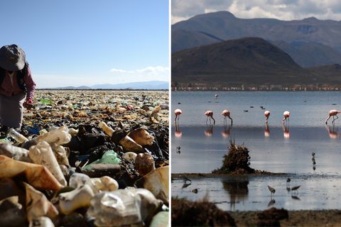 Einstiges Paradies wird zum Ort des Grauens: Ein Meer von Plastik im Uru-Uru-See